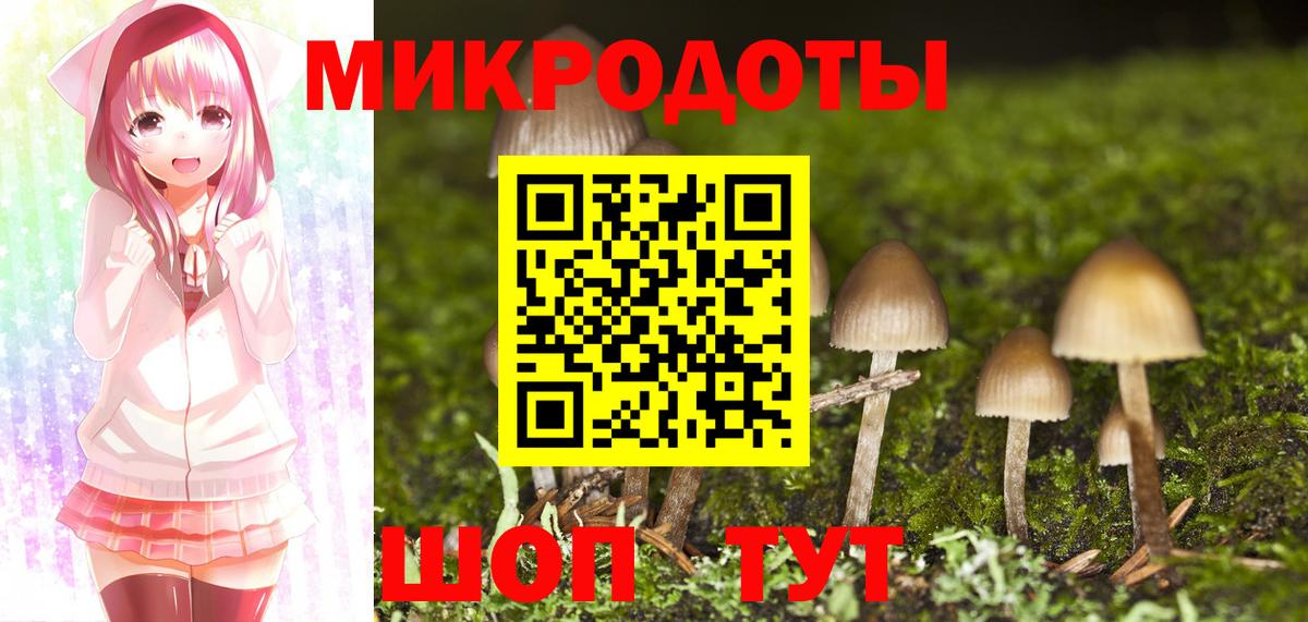 Галлюциногенные грибы прущие грибы  Вход с VPN  Советская Гавань 